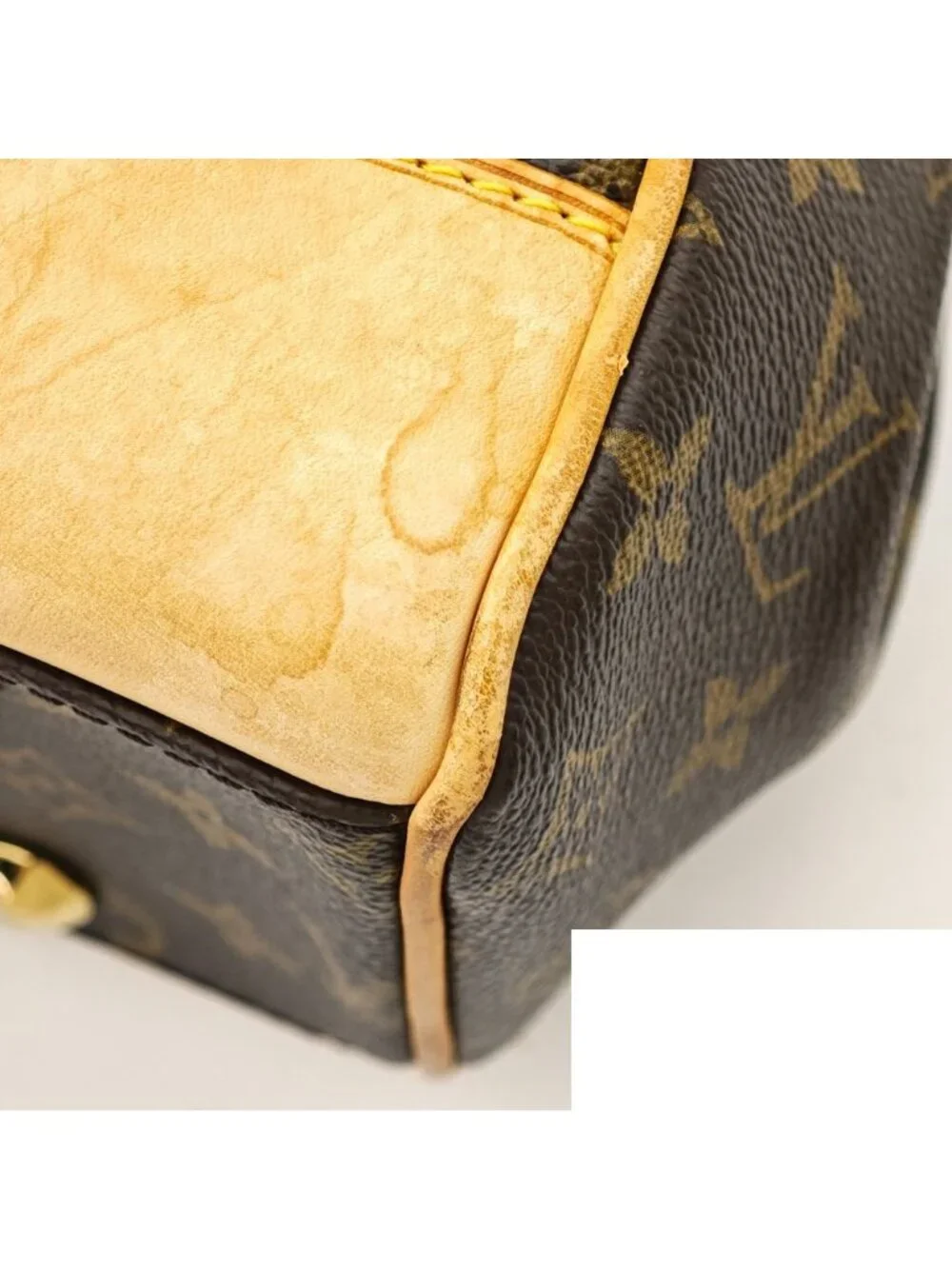 Louis Vuitton brand louis